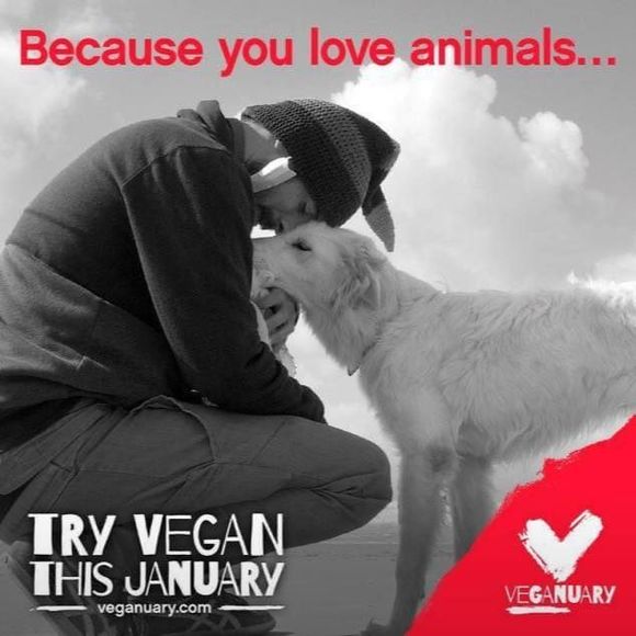 Meet your Posher, Emy - Picture 1 of 1